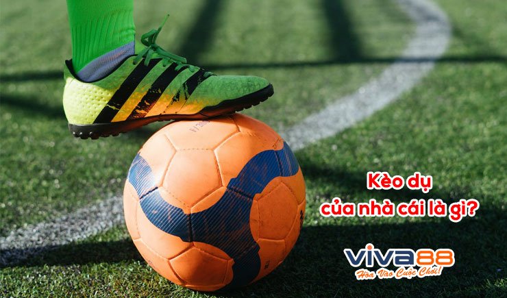 Kèo dụ của nhà cái là gì